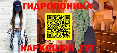 шишки Пыть-Ях