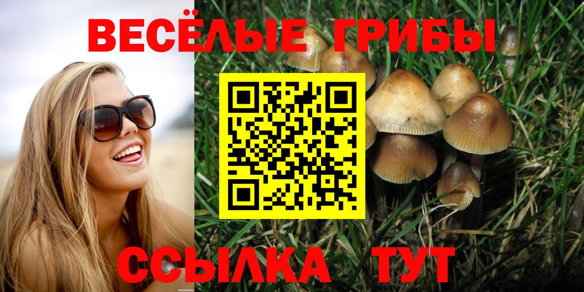 МЕФ   Тавда  Вход с VPN  Метамфетамин  АМФ кристаллы  Гашиш  Alpha-PVP СОЛЬ кристаллы  Бошки Шишки  Лсд 25 