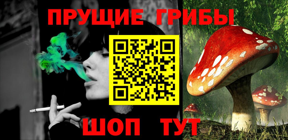 Псилоцибиновые грибы Magic Shrooms  купить  цена  Тавда  Вход с VPN 